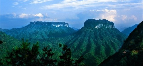 会员风采_旺苍县米仓山自然保护区管理局.jpg