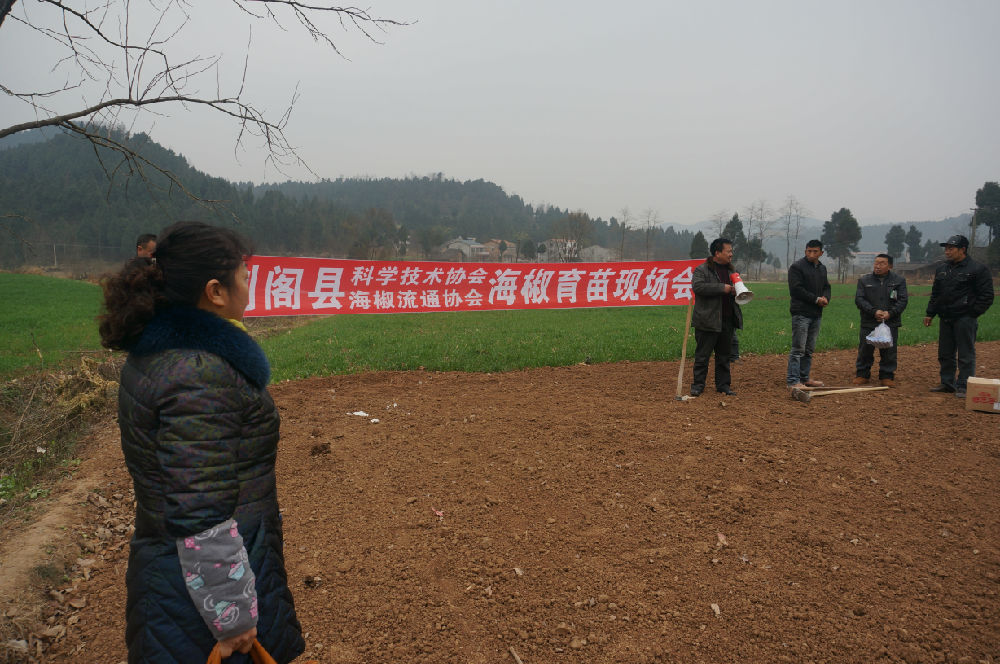2016122209135104.jpg